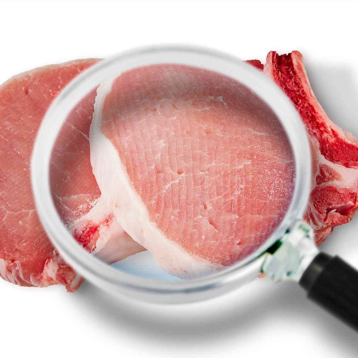 Revisando alimentos con lupa